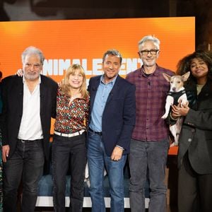 L'animateur nous offre non pas un, mais deux numéros totalement inédits sur France 3 dans l'après-midi.
Farah Kesri, Raphaël Mezrahi, Pascale Michard, Bernard Montiel, Thierry Lhermitte, Oli, Monday, Graziella Dolce sur plateau de l'émission "Animalement Vôtre" présentée par Bernard Montiel et diffusée le 22 mars 2026 sur France 3, à Paris, France, le 13 janvier 2026. © Julien Sarkissian/Bestimage
