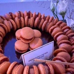 Elodie Gossuin fête l'anniversaire de Rose et Jules 20 décembre 2025 @Instagram