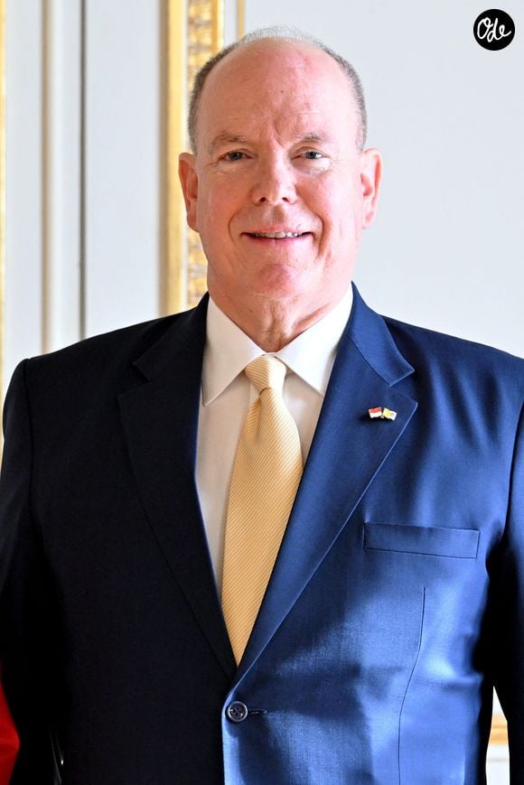 Le prince Albert II de Monaco - Entretien au palais pricnier et photo officielle - Visite historique du pape Léon XIV à Monaco le 28 mars 2026.
© Bruno Bebert - Dominique Jacovides / Bestimage