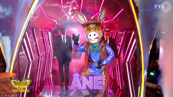 L'Âne dans Mask Singer, prime du 22 mai - capture d'écran TF1