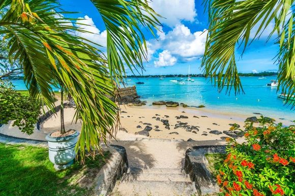 Des marchés animés de Port-Louis aux eaux translucides de l’Île aux Cerfs, l’article brosse finalement le portrait d’une destination où luxe, dépaysement et douceur tropicale attirent autant les voyageurs que les célébrités.

Grand Baie, au nord de l'île, et un bout de sa plage sous les palmiers. - © Dorianm / 123RF