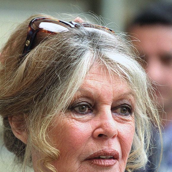 "Quelle n'a pas été notre surprise de recevoir, deux mois plus tard, une très gentille lettre écrite de sa main, dans laquelle elle acceptait, avec fierté, d'être la marraine de notre exposition", a-t-il ensuite ajouté

Brigitte Bardot à Matignon.