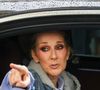 la série racontera les liens très forts qui unissaient la fratrie Dion, mais aussi les moments plus difficiles qui ont forgé la future star mondiale. 

Céline Dion prend des photos et salue ses fans alors qu'elle se prépare à chanter pour les Jeux Olympiques à Paris.