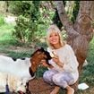 Des chiens, une chèvre et une grande piscine : dans le mas provençal d'Amanda Lear, son havre de paix près de Saint-Rémy-de-Provence