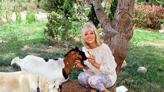 Des chiens, une chèvre et une grande piscine : dans le mas provençal d'Amanda Lear, son havre de paix près de Saint-Rémy-de-Provence