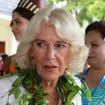 La reine Camilla bientôt rattrapée par les ennuis ? Un détail de sa vie d’avant a semé la pagaille