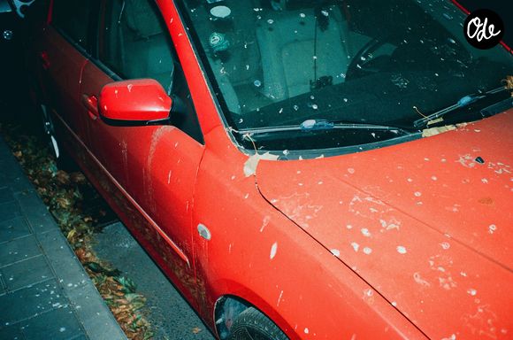 Si la paresse est souvent incriminée, l'explication s'avère en réalité bien plus complexe.