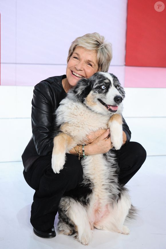 Exclusif - Veronique Jannot et sa chienne - Enregistrement de l'émission "Vivement dimanche" au studio Gabriel, présentée par M. Drucker et diffusée sur France 3 le 15 octobre 2023. © Guillaume Gaffiot / Bestimage