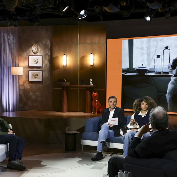 Bertrand Chameroy, Bernard Montiel, Oli et son chien Monday sur plateau de l'émission "Animalement Vôtre" présentée par B.Montiel et diffusée le 25 janvier 2026 sur France 3, à Paris, France, le 3 décembre 2025. © Jack Tribeca/Bestimage