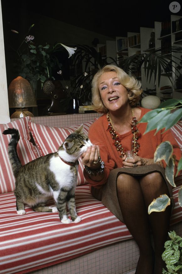 Micheline Presle est née il y a exactement 103 ans

En France, à Paris, Micheline Presle posant chez elle (archive)
©Bruno Schneider via Bestimage