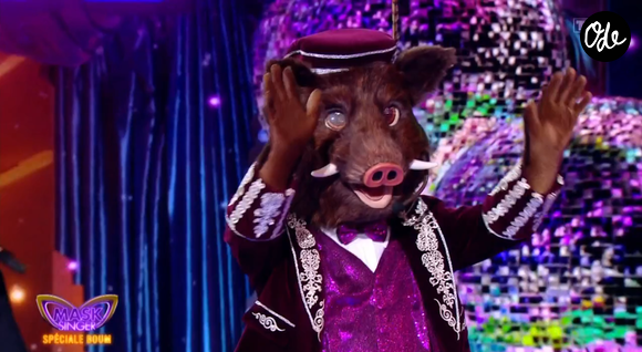 Qui se cachait sous ce costume ?

Le Sanglier dans Mask Singer - capture d'écran TF1