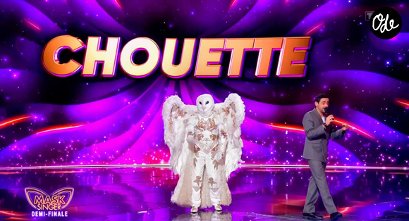 à un pas de la finale 

La Chouette dans Mask Singer - capture d'écran TF1