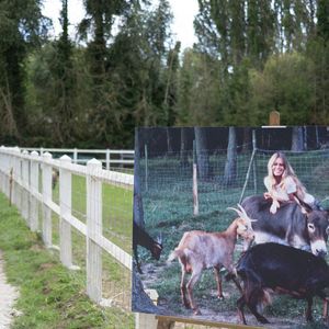 Une photo prise le 7 août 2023 montre un chien à côté d'une photo de Brigitte Bardot dans un refuge de la Fondation Brigitte Bardot à Bazoches-sur-Guyonne, en région parisienne. Photo par Raphael Lafargue/ABACAPRESS.COM