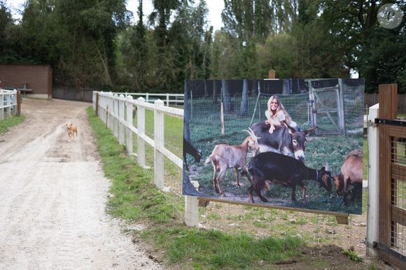Une photo prise le 7 août 2023 montre un chien à côté d'une photo de Brigitte Bardot dans un refuge de la Fondation Brigitte Bardot à Bazoches-sur-Guyonne, en région parisienne. Photo par Raphael Lafargue/ABACAPRESS.COM