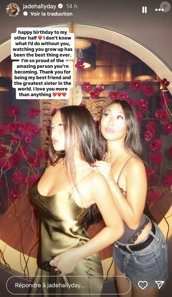 Capture d'écran de la story Instagram de Joy Hallyday.