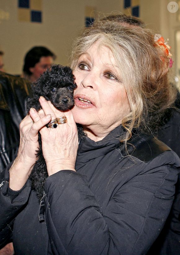 Brigitte Bardot en visite dans un centre de protection des animaux à Nice, dans le sud de la France, le 28 décembre 2005. Photo Abaca