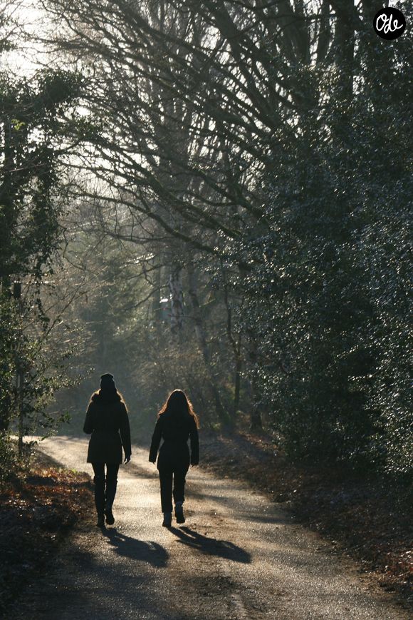 L'OMS recommande au moins 150 minutes par semaine, réparties en plusieurs séances (faire le ménage ou le jardinage compte !)

Voici combien de temps il faudrait marcher chaque jour pour rester en forme