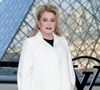 Le Domaine de Primard est l'ancienne propriété de Catherine Deneuve située en Eure-et-Loir.

Catherine Deneuve au photocall du défilé Louis Vuitton Collection Femme Prêt-à-Porter Automne/Hiver lors de la Fashion Week de Paris (PFW) au musée du Louvre, à Paris, France © Olivier Borde/Bestimage