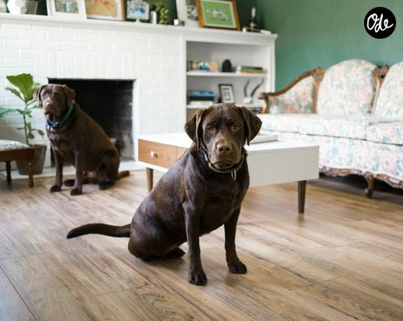 Image Unsplash