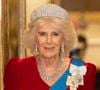 Camilla Parker Bowles a fait son retour !

Camilla Parker Bowles, reine consort d'Angleterre - L'émir du Qatar Tamim ben Hamad Al-Thani et sa femme au dîner d'Etat au palais de Buckingham lors de sa visite d'Etat au Royaume-Uni