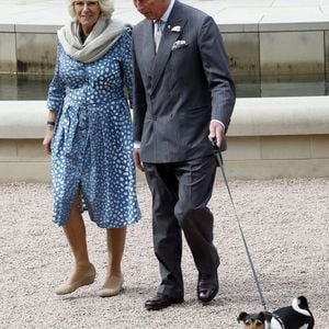 Le 24 juin 2015, le roi Charles III et la reine Camilla (alors prince de Galles et duchesse de Cornouailles) marchant avec leur chien Beth.