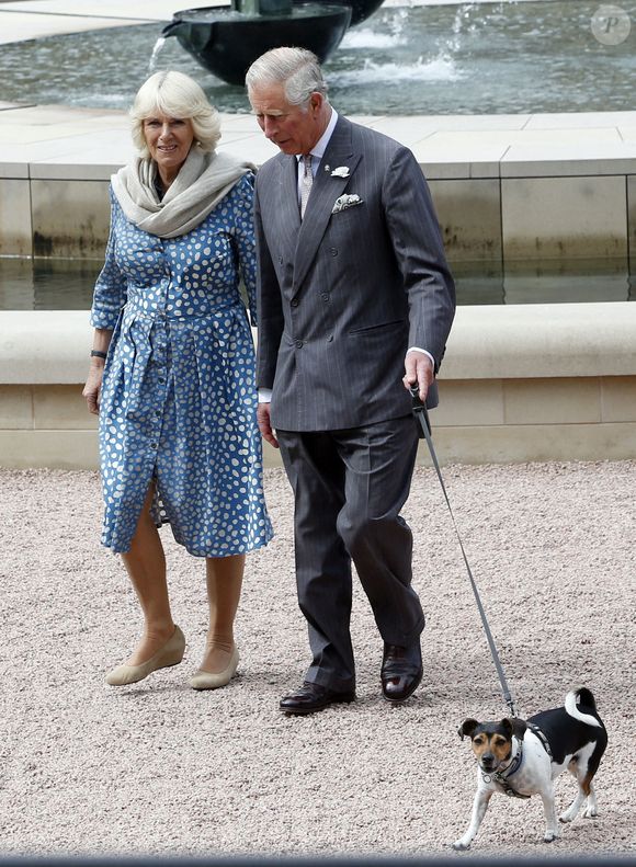 Le 24 juin 2015, le roi Charles III et la reine Camilla (alors prince de Galles et duchesse de Cornouailles) marchant avec leur chien Beth.