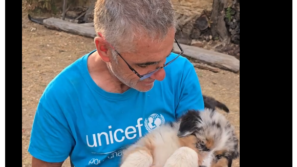 Laurent Jalabert avec un bébé de sa chienne Téha sur Instagram. 19 août 2024.
