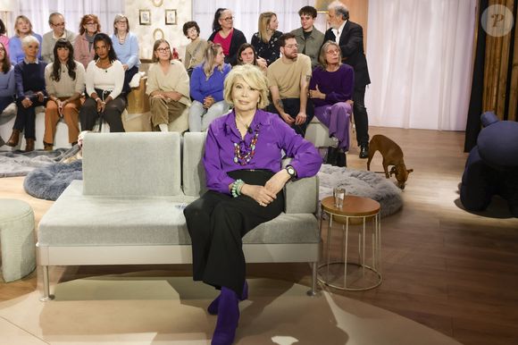 Exclusif - Amanda Lear sur plateau de l'émission "Animalement Vôtre" présentée par B.Montiel et diffusée le 4 janvier 2026 sur France 3, à Paris, France, le 3 décembre 2025. © Jack Tribeca/Bestimage