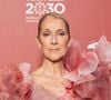 Céline Dion a annoncé la sortie d’une nouvelle chanson sur Instagram.

Celine Dion au photocall du défilé anniversaire Elie Saab "1001 Seasons of Elie Saab" à l'espace "The Venue" à Riyad, Arabie saoudite.
© Tiziano Da Silva / Bestimage