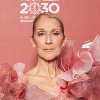 Céline Dion n’en a pas fini avec les surprises : un nouveau cadeau attend ses fans