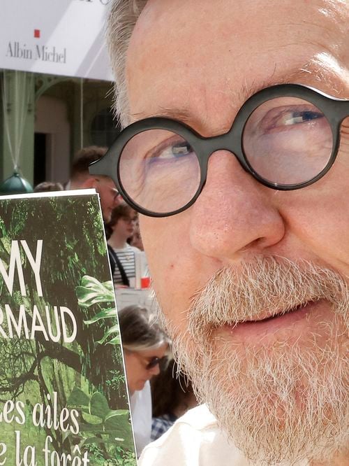 Comme Hugh Grant, Jamy Gourmaud a trouvé son bonheur dans les Alpilles avec des petits villages aux maisons en pierre