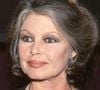 "Le testament a été ouvert et un inventaire est en cours. C'est obligatoire", a-t-il premièrement révélé

Archives - Brigitte Bardot est morte à 91 ans.
Crédit : JLPPA / Bestimage