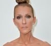 Pour l'occasion, la musicienne s'est associée avec un célèbre chef pâtissier

Celine Dion - Photocall du Défilé de mode Haute-Couture Automne/Hiver 2019/2020 Alexandre Vauthier à Paris. Le 2 juillet 2019. © Veeren Ramsamy / Christophe Clovis / Bestimage