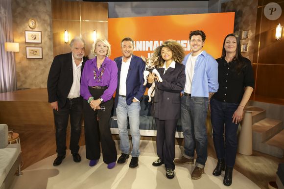 Exclusif - Raphaël Mezrahi, Amanda Lear, Bernard Montiel, Oli avec son chien Monday, Docteur Sylvain Hawawini et Maître Olivia Symniacos sur plateau de l'émission "Animalement Vôtre" présentée par B.Montiel et diffusée le 4 janvier 2026 sur France 3, à Paris, France, le 3 décembre 2025. © Jack Tribeca/Bestimage