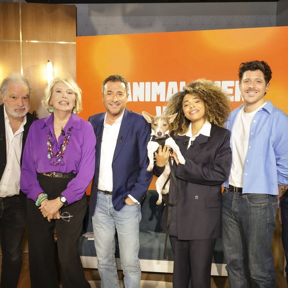 Exclusif - Raphaël Mezrahi, Amanda Lear, Bernard Montiel, Oli avec son chien Monday, Docteur Sylvain Hawawini et Maître Olivia Symniacos sur plateau de l'émission "Animalement Vôtre" présentée par B.Montiel et diffusée le 4 janvier 2026 sur France 3, à Paris, France, le 3 décembre 2025. © Jack Tribeca/Bestimage