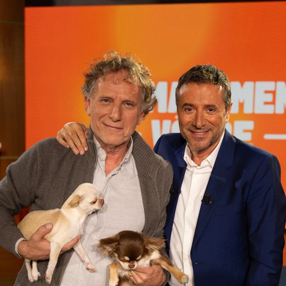 Exclusif - Bernard Montiel, Raphaël Mezrah, Oli. avec Charles Berling et Charles Edouard Fusari invités, Olivia Juriste et Sylvain Vétérinaire sur plateau de l'émission "Animalement Vôtre" présentée par Bernard Montiel et diffusée le XXX sur France 3, à Paris, France, le 12 janvier 2026. © Julien Sarkissian/Bestimage