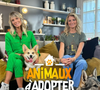 Mais les deux femmes ont rebondi 
Elodie Ageron et Sandrine Arcizet sont de retour sur TMC à partir du 25 mai 2025, à 13h30, avec "Animaux à adopter, nouvelle famille pour une nouvelle vie"