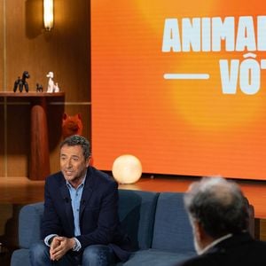 Bernard Montiel sur plateau de l'émission "Animalement Vôtre" présentée par Bernard Montiel et diffusée le 22 mars 2026 sur France 3, à Paris, France, le 13 janvier 2026. © Julien Sarkissian/Bestimage