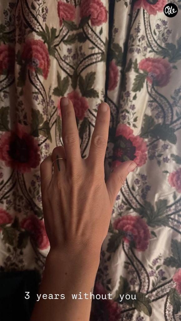 Lou Doillon Instagram Juillet 2026