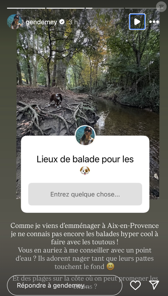 "Comme je viens d'emménager à Aix-en-Provence, je ne connais pas encore les balades hyper cool à faire avec les toutous. Vous en auriez à me conseiller avec un point d'eau ? Et des plages sur la côté où on peut promener les chiens ?", a-t-elle demandé.

Gennifer Demey installée à Aix-en-Provence après son mariage avec Eric Antoine.