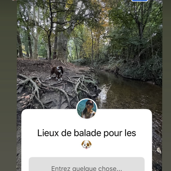 "Comme je viens d'emménager à Aix-en-Provence, je ne connais pas encore les balades hyper cool à faire avec les toutous. Vous en auriez à me conseiller avec un point d'eau ? Et des plages sur la côté où on peut promener les chiens ?", a-t-elle demandé.

Gennifer Demey installée à Aix-en-Provence après son mariage avec Eric Antoine.