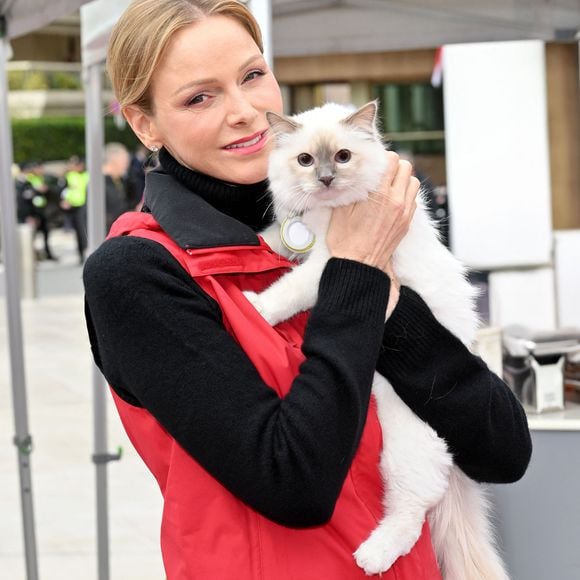 Le prince Albert II de Monaco et la princesse Charlene ont participé au " Road Safety Day ", organisée par la Fondation Princesse Charlene, Monaco, 29 mars 2026.