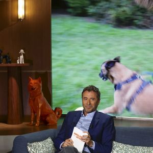 Exclusif - Bernard Montiel, sur plateau de la nouvelle émission "Animalement Vôtre" présentée par Bernard Montiel et diffusée le 9 novembre sur France 3, à Paris, France, le 13 octobre 2025. © Jack Tribeca/Bestimage