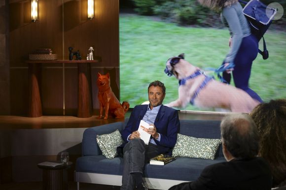 Exclusif - Bernard Montiel, sur plateau de la nouvelle émission "Animalement Vôtre" présentée par Bernard Montiel et diffusée le 9 novembre sur France 3, à Paris, France, le 13 octobre 2025. © Jack Tribeca/Bestimage