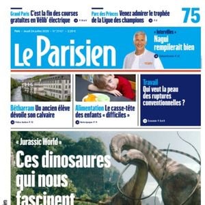 Les confidences de Nagui à retrouver dans le Parisien ce jeudi 24 juillet. 

(Capture d'écran - Le Parisien - 24 juillet 2025)