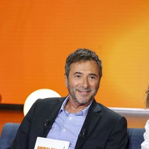 Exclusif - Bernard Montiel, Oli, sur plateau de la nouvelle émission "Animalement Vôtre" présentée par Bernard Montiel et diffusée le 16 novembre sur France 3, à Paris, France, le 14 octobre 2025. © Jack Tribeca/Bestimage