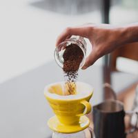 Jeter du marc de café dans les toilettes : à quoi ça sert et pourquoi il est recommandé de le faire une fois par semaine