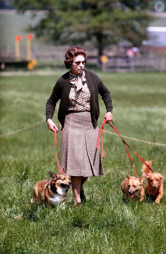 Photo d'archives du 17 mai 1980 de la Reine Elizabeth II avec quelques-uns de ses corgis marchant sur le parcours de cross-country pendant le deuxième jour du concours hippique de Windsor..  Photo by PA/PA Wire/ABACAPRESS.COM
