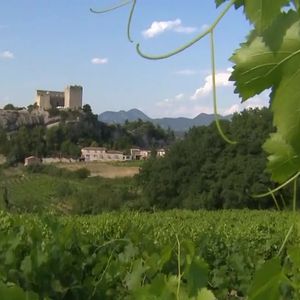 Michel Drucker dévoile des images de la maison de Mimie Mathy située à Vaison-la-Romaine dans l'émission Vivement dimanche le 9 février 2025 sur France 3.