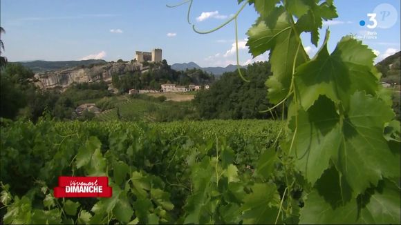 Michel Drucker dévoile des images de la maison de Mimie Mathy située à Vaison-la-Romaine dans l'émission Vivement dimanche le 9 février 2025 sur France 3.